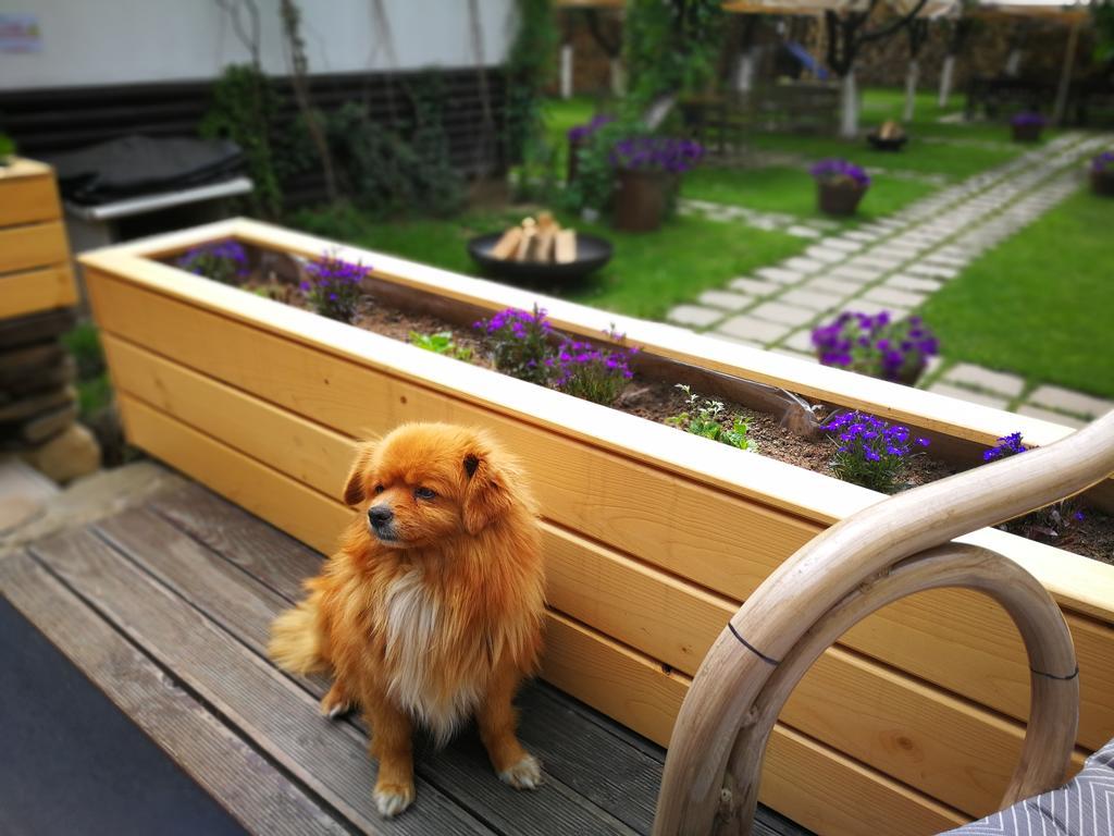 Pensiune Restaurant La Cassa วีเชวเดสซุส ภายนอก รูปภาพ